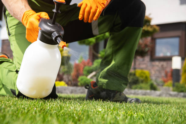 Trusted Willcox, AZ Pest Control Experts