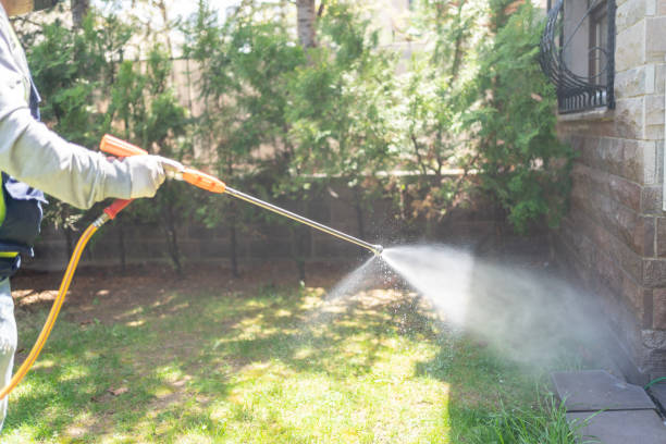Best Affordable Pest Control Services  in Willcox, AZ