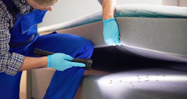 Best Emergency Pest Control  in Willcox, AZ